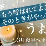 うお座♓️2026年３月後半〜４月前半🌝強いかも…大どんでん返し、最後に用意されてるのは驚きの逆転、一気に実りが押し寄せる