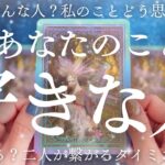 【覚悟して見てください】新恋あり💖復縁あり❤️‍🩹執着強めあり❤️‍🔥全選択肢、お相手の気持ちが濃厚です🔮【恋愛タロット】【あの人の気持ち】