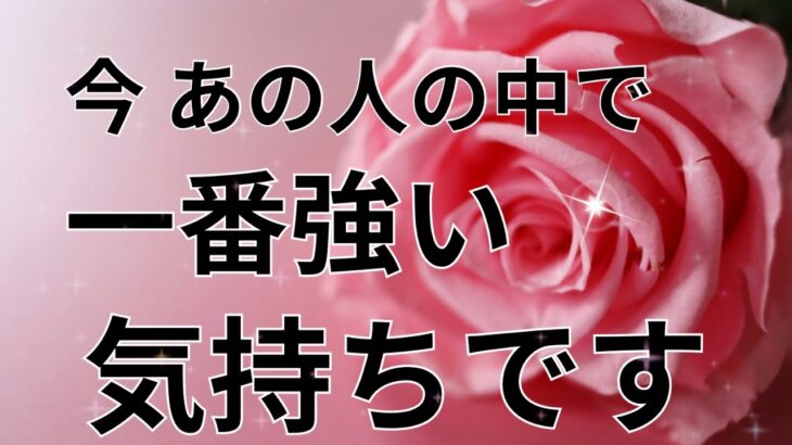 【衝撃的中🔥】あの人の中で一番強いあなたへの気持ちです。恋愛タロット占い｜ルノルマン｜オラクルカード｜個人鑑定級リーディング