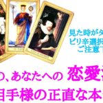 🌹恋愛タロット占い🌹ちょい辛口選択肢あります🌶️近づきたい？避けたい？離れたい？あの人のあなたへの恋愛温度と正直な本音 片思い カップル 曖昧複雑 復縁 年の差etc..