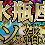 やっぱり出たね！水瓶座さんの3月中旬は、アースワーカーとしての御役目の答え合わせですね！😲✨♾️タロット占い♾️