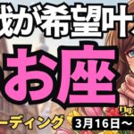 【魚座】♓️2026年3月16日の週♓️挑戦の先に光！継続する力が希望を叶える。攻めの姿勢が吉！