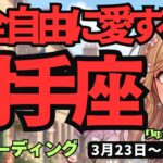 【射手座】♐️2026年3月23日の週♐️愛に生きる！完全自由。心のままに自由に楽しく進むための開運術