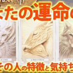 運命の人を鑑定します🧶これから出会う方も◎［タロット占い］