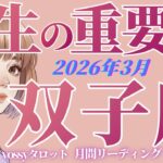 3月の運勢🦋ふたご座　ぶっちゃけここから人生変わる人多いと思います…‼️双子座の時代がもうすぐ来るよ✨(お金・仕事・人間関係)
