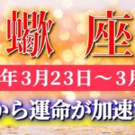 蠍座 【 さそり座 ♏ 】毎週タロット( 2026年3月 23日の週) ここから加速✨楽しむほど運命がどんどん広がる拡大フェーズ突入！✨🔑 Scorpio タロット占い タロットリーディング