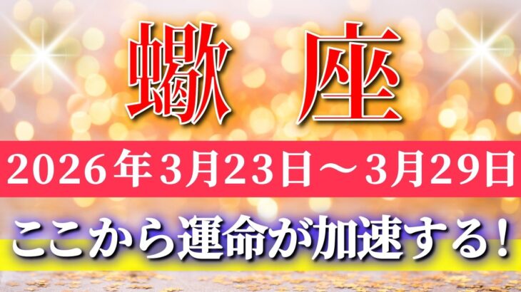 蠍座 【 さそり座 ♏ 】毎週タロット( 2026年3月 23日の週) ここから加速✨楽しむほど運命がどんどん広がる拡大フェーズ突入！✨🔑 Scorpio タロット占い タロットリーディング