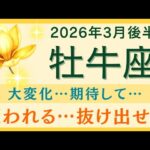 【牡牛座】3月後半✨大変化｜心地良さを求めよ｜新しい生き方の始まり｜｜オラクルカードリーディング