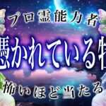 【⚠️これからが本番】⚠️ 牡牛座3月にとんでもないことが起こります。運命が切り替わる重要サイン【運勢タロット占い】