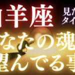 山羊座♑️【3択】目覚めのサイン✨✨