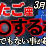 【双子座♊完璧です】人生が変わるような金運が引き寄せられています【12星座占い】