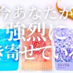 めちゃくちゃ引き寄せてます😳‼︎【タロット🔮】今あなたが強烈に引き寄せている事【オラクルカード】未来・人生・夢・目標・仕事・出会い・恋愛・スピリチュアル・カードリーディング・占い