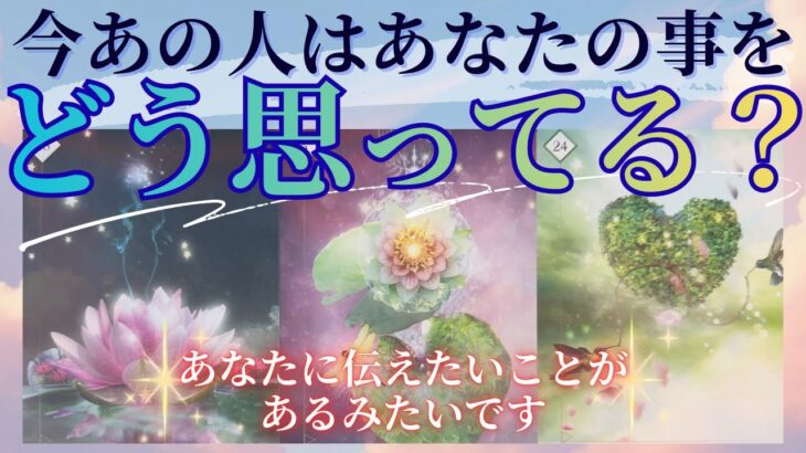 今あの人はあなたのことをどう思っているのか、あの人の気持ち、心、お伝えします 【 恋愛・タロット・オラクル・カード 占い 】