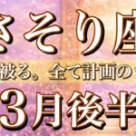 さそり座♏️3月後半タロット🌕皮を被る。全て計画のうち🔥