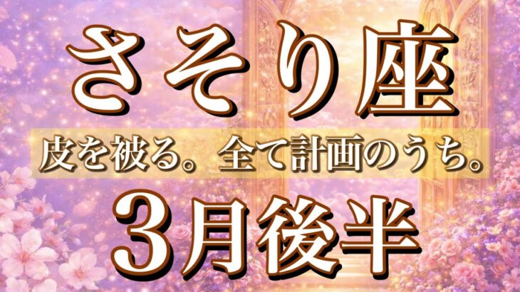 さそり座♏️3月後半タロット🌕皮を被る。全て計画のうち🔥