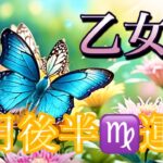 【乙女座】3月後半の運勢❤️大吉報！大チャンス！こりゃ、すごい😳シンクロ神展開🌈夢とロマンスの大復活❤️‍🔥ハッピーポジティブ🌈マンスリー　2026年　タロット占い