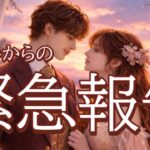 【すぐみて…】お相手からあなたへ緊急報告です💖恋愛タロット占い