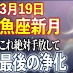 【⭐️全星座⭐️】3月19日 魚座新月｜春分前に、これをしないと古い流れを引きずります