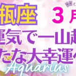 ♒水瓶座3月運勢🌈✨凄い！新展開！全て満たされ前進💐✨️