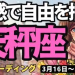 【天秤座】♎️2026年3月16日の週♎️神様と繋がる奇跡の週！直感に従えば自由な未来が手に入る