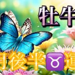 【牡牛座】3月後半の運勢❤️大予祝！！ちょっとこれは最高すぎる😳開運🎊大どんでん返しのミラクル展開💐祝福の大変化💐ハッピーリニューアルマンスリー　2026年　タロット占い