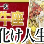 【3月23日までに見れたらラッキー】牡牛座さんもうちょっと耐えて。これからまさかの事態が… Akari先生