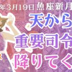 魚座新月の星読みとカードリーディング【浄化・手放し・大解放】