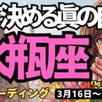 【水瓶座】♒️2026年3月16日の週♒️本当の自由が始まる！思考を捨てて「肚」で決める私らしい道