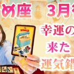 おとめ座♍️3月後半｜幸運の波が来た！運気錯覚！✨