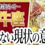 【3月16日までにみて】レベルが違います…!!牡牛座さんが今進めない意味をすべて占いました【超重要な停滞期】 Akari先生