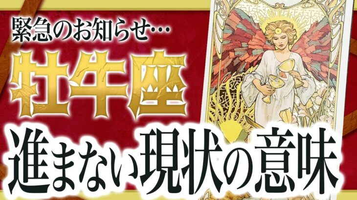 【3月16日までにみて】レベルが違います…!!牡牛座さんが今進めない意味をすべて占いました【超重要な停滞期】 Akari先生