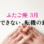 心を決めた双子座さん、もう完璧です。完全に引き寄せてます、とても。【双子座　3月の運勢】🌷タロット占い
