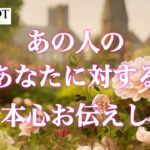 【💡詳細鑑定✨真実公開‼️流れが変わります‼️】あの人のあなたに対する本音本心お伝えします🌷