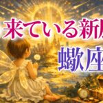 【さそり座さん🔑】もう来ている新展開🪐見た時がタイミング【タロット・ルノルマン・オラクルカードリーディング】