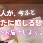 あの人の深い本音😳今あなたに感じている気持ち、受け取ってください【男心タロット、細密リーディング、個人鑑定級に当たる占い】