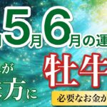 【牡牛座4月〜6月☘️】金運UP！必要なお金が集まり契約が決まる💰［運勢リーディング＆タロット＆オラクル］