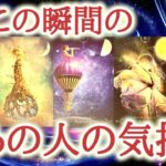 今、この瞬間のあの人の気持ち😌💕💐あの人の心の中で今、あなたに対して動いている感情の流れをカードが読み解きます【恋愛タロット占い🔮ルノルマン・オラクルカード・リーディング】
