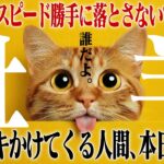 【牡羊座・春分】あなたの決断に「でも危ないよ」とブレーキをかける人間は即刻損切りです。外野のノイズを完全ミュートする決意の月。