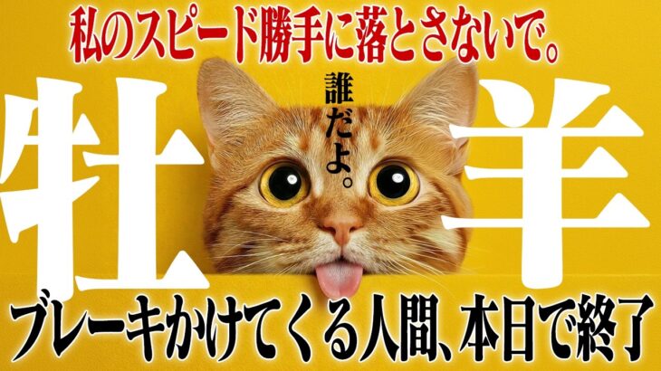 【牡羊座・春分】あなたの決断に「でも危ないよ」とブレーキをかける人間は即刻損切りです。外野のノイズを完全ミュートする決意の月。