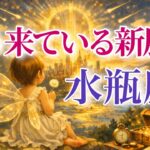 【みずがめ座さん🔑】もう来ている新展開🪐見た時がタイミング【タロット・ルノルマン・オラクルカードリーディング】