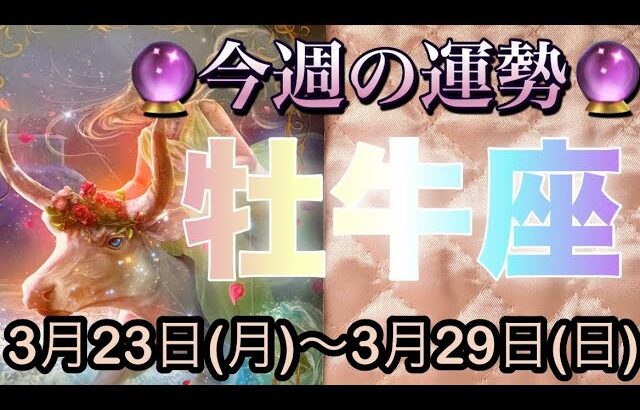 牡牛座♉️さん⭐️3月23日(月)〜3月29日(日)🔮辛い状況が終了‼️お仕事や取り組み運が最強です🌈🌈