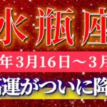 水瓶座 【 みずがめ座 ♒ 】毎週タロット( 2026年3月 16日の週) 最高運ついに降臨！楽しむほど奇跡が動き出す✨🔑 Aquarius タロット占い タロットリーディング