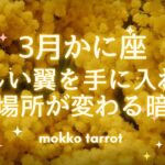 【蟹座さん2026年３月】この翼は折れない　強さを手に入れる