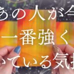 【本音漏れまくり】今あなたに抱く強いお気持ち超深堀り❤️こんなことまで考えています🫣🔮【恋愛タロット】【あの人の気持ち】