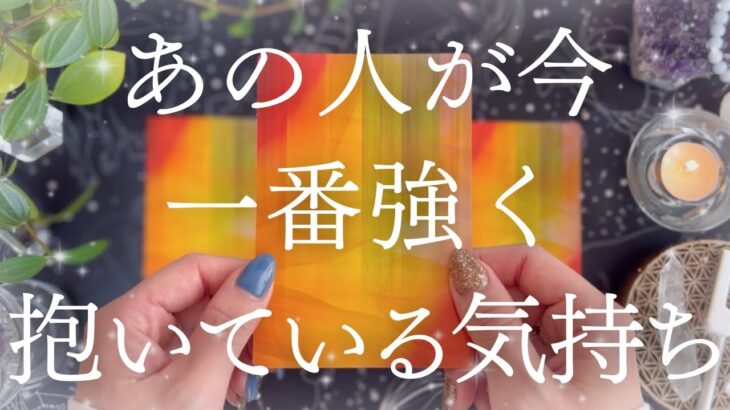 【本音漏れまくり】今あなたに抱く強いお気持ち超深堀り❤️こんなことまで考えています🫣🔮【恋愛タロット】【あの人の気持ち】
