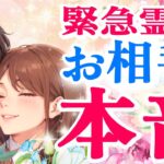 【緊急🔮】録画しながら声が出た。あの人の”本当の心”がこんなに出るとは思わなかった【きずなタロット】