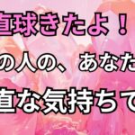 【本音】今のあなたに対する、あの人の素直な気持ちを聞きました！恋愛タロット占い❤️｜ルノルマン｜オラクルカード｜個人鑑定級リーディング