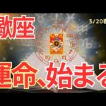 【蠍座】春分🌸新章スタート🌟ここから動き出すあなたの運命🌈🍀タロット占い&オラクルカードリーディング