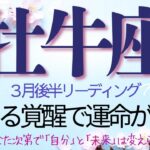 牡牛座♉️3月後半💫【急展開のお知らせ】積み重ねてきたものが形になる❗️覚醒の決断のあと現実は想像以上のスピードで展開していく❗️
