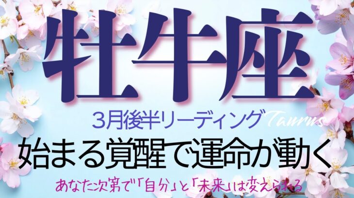 牡牛座♉️3月後半💫【急展開のお知らせ】積み重ねてきたものが形になる❗️覚醒の決断のあと現実は想像以上のスピードで展開していく❗️